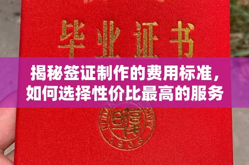 江津揭秘签证制作的费用标准，如何选择性价比最高的服务？