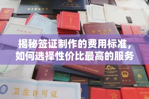 江津揭秘签证制作的费用标准，如何选择性价比最高的服务？